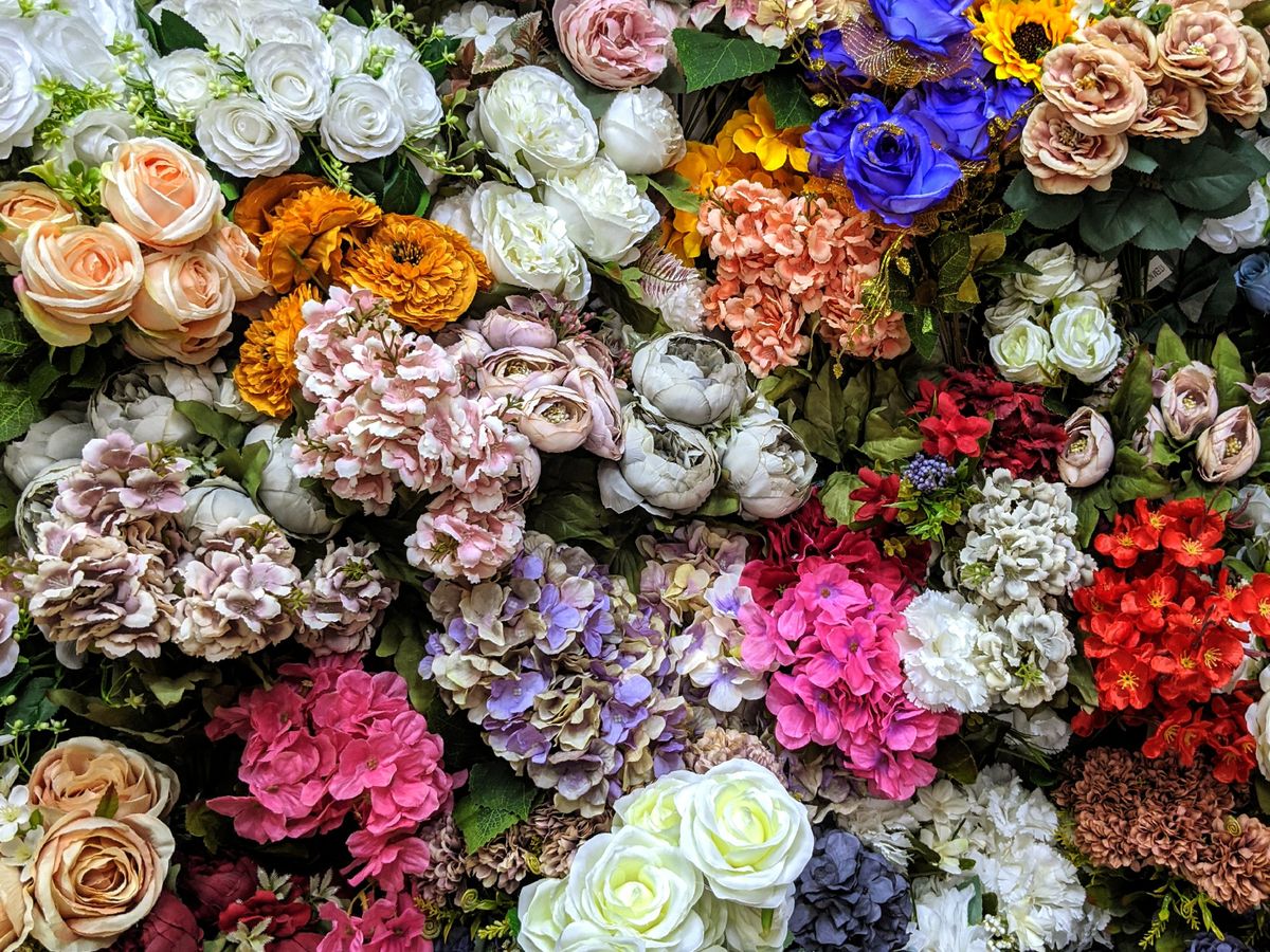 A dense wall of pink, cream, and blue flowers